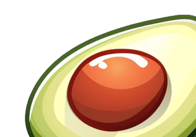 avocado